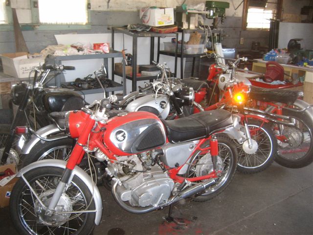 GS Collection